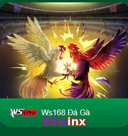 95winx